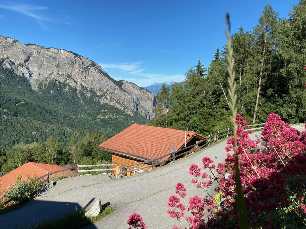 Familial Chalet Chamoson